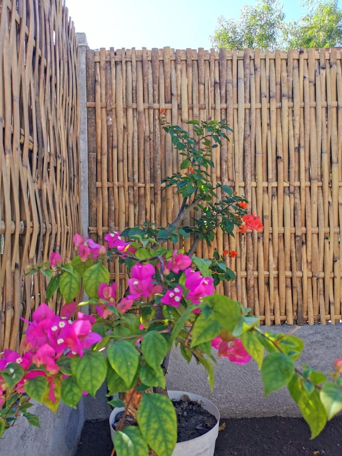 Exotic House Villa Gili Meno Exterior photo